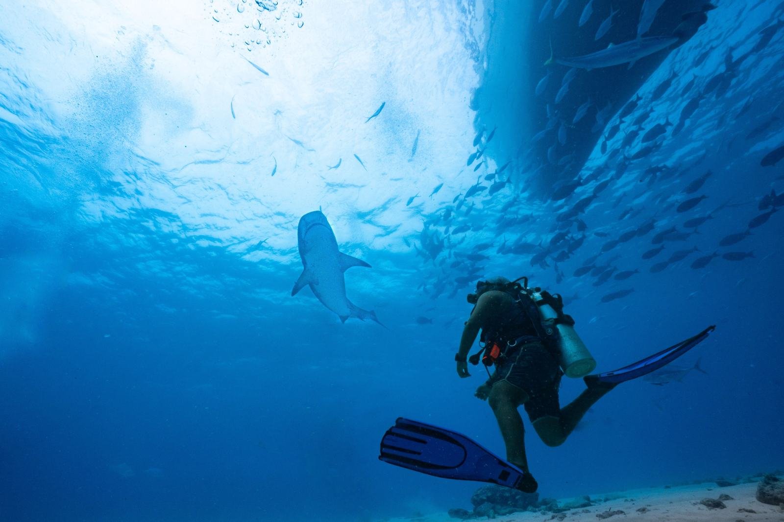 Snorkeler in clear water